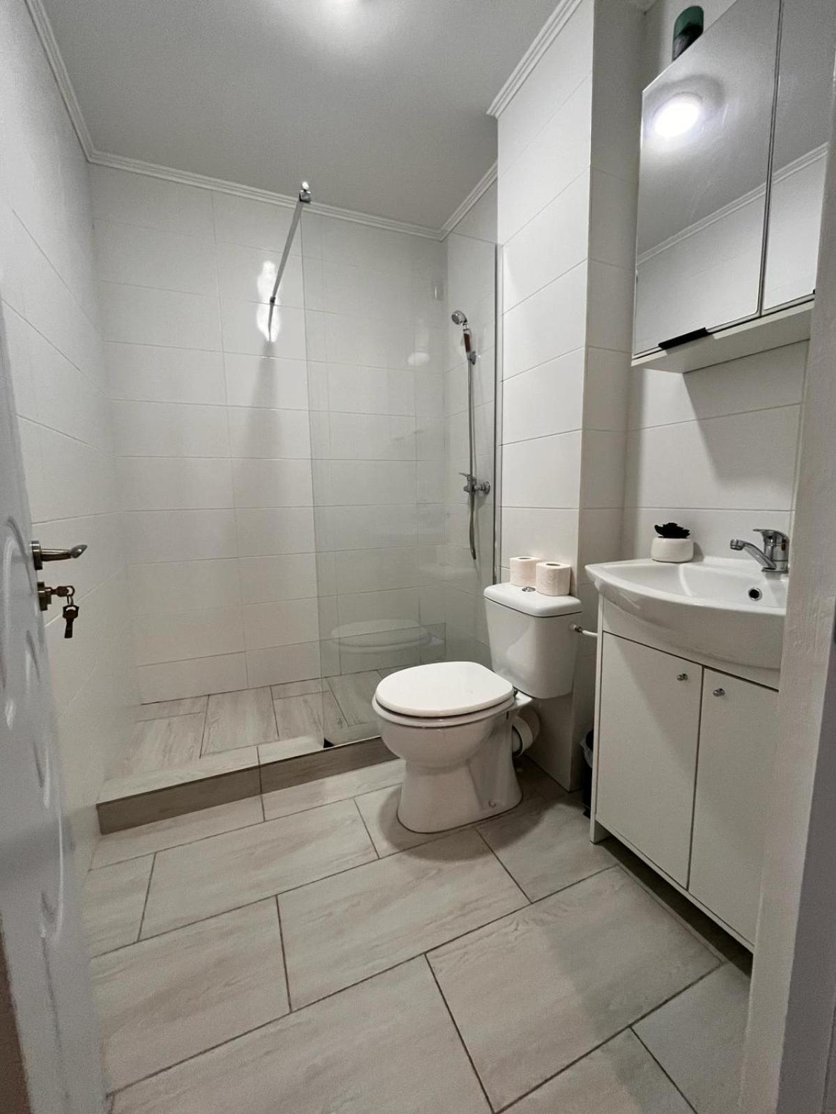 White & Silver Luxury Apartament Craiova Exteriör bild